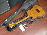 Gibson Americana series(iÁj