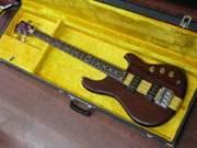 Ibanez Musician ACoj[Y@~[WV Be[W(1981N)